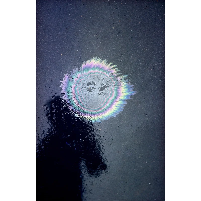 

Эрнест Хаас Абстрактный Алекс Хаас Дэвид Кэмпини Престел 9783791388496 Книга