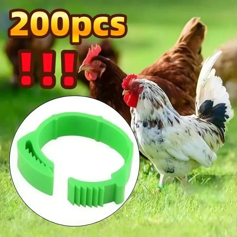 【D】Adjustable Chicken Foot Identification Rings 100 Pcs No Number Snap Buckle for Backyard Poultry Duck Goose Raise Management