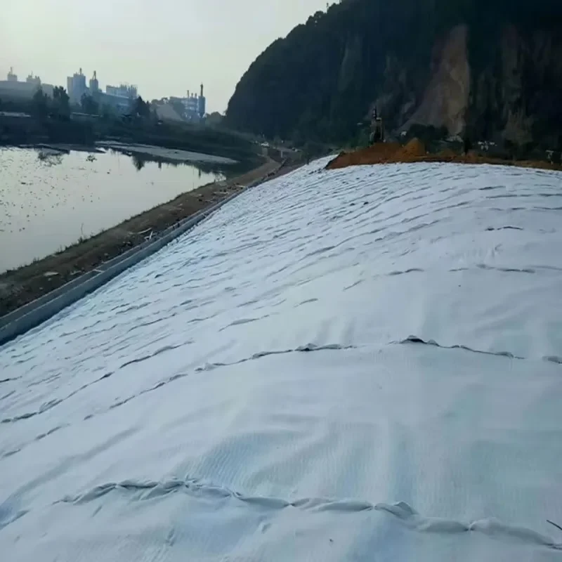 【Best-selling】Polypropylene PP Fabric Non Woven Geotextile for Filtration Nonwoven Geotextile Woven White Non Woven Geotextile