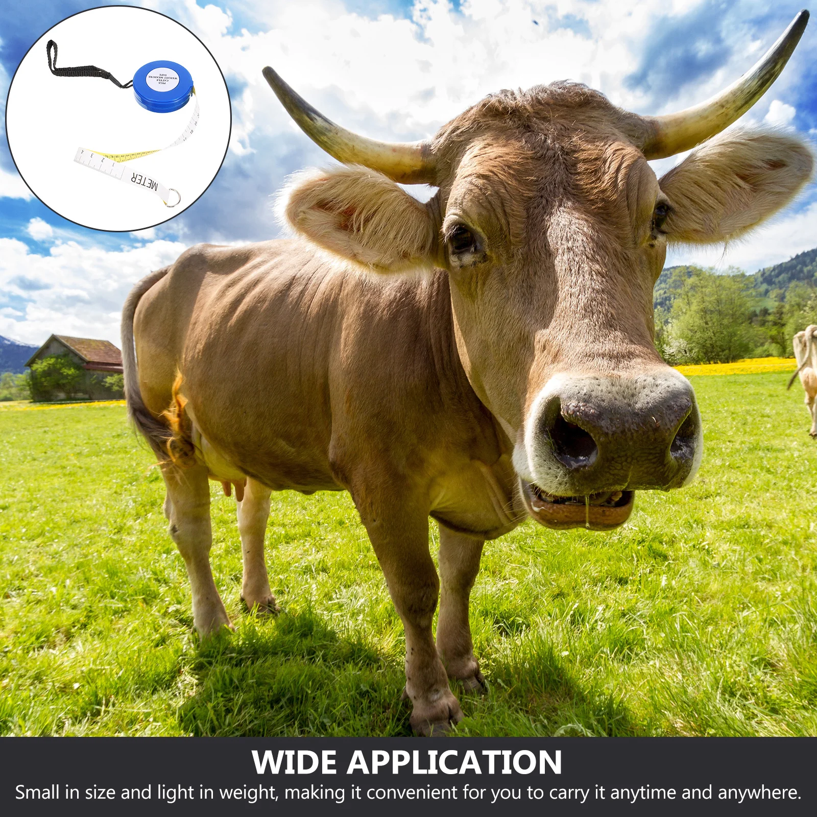 

Blue 250cm Animal Measuring Tape for Cattle Pigs Goat Weight Measurement Chest Girth Multifunctional Portable Farm Tool