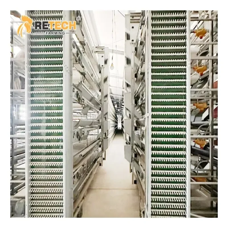 

Automation Egg Layer Chicken Cage for Poultry Farm Chicken House