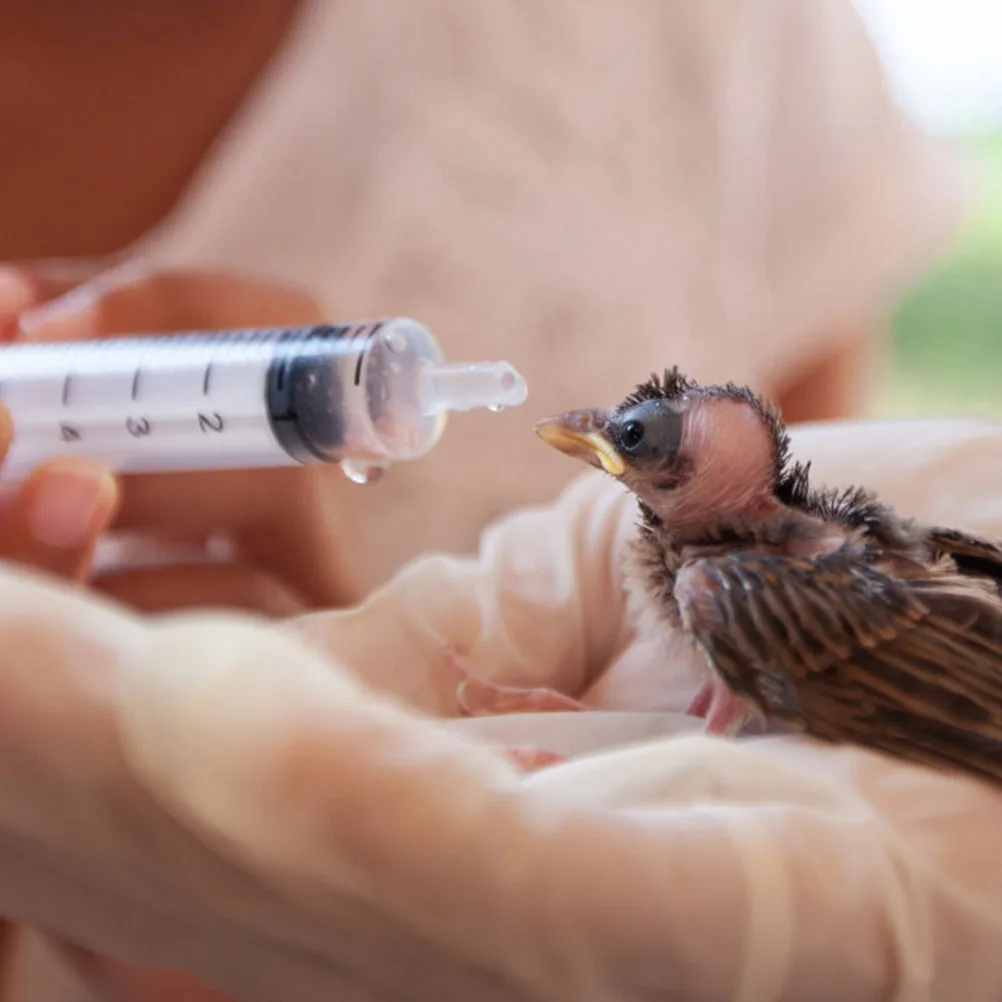 

12Pcs Perfume Dispenser Syringe Plastic Scale Perfume Bottle Precise Measured Liquid Tool Leak Proof