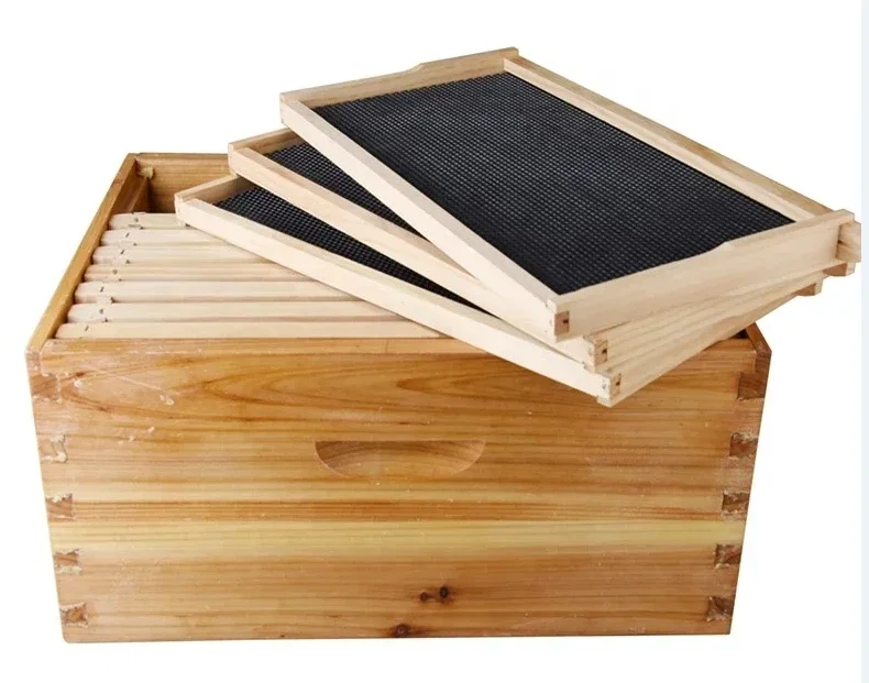 Beehive 10 frames three-layer beekeeping tools queen excluder nest frame nest foundation can be equipped