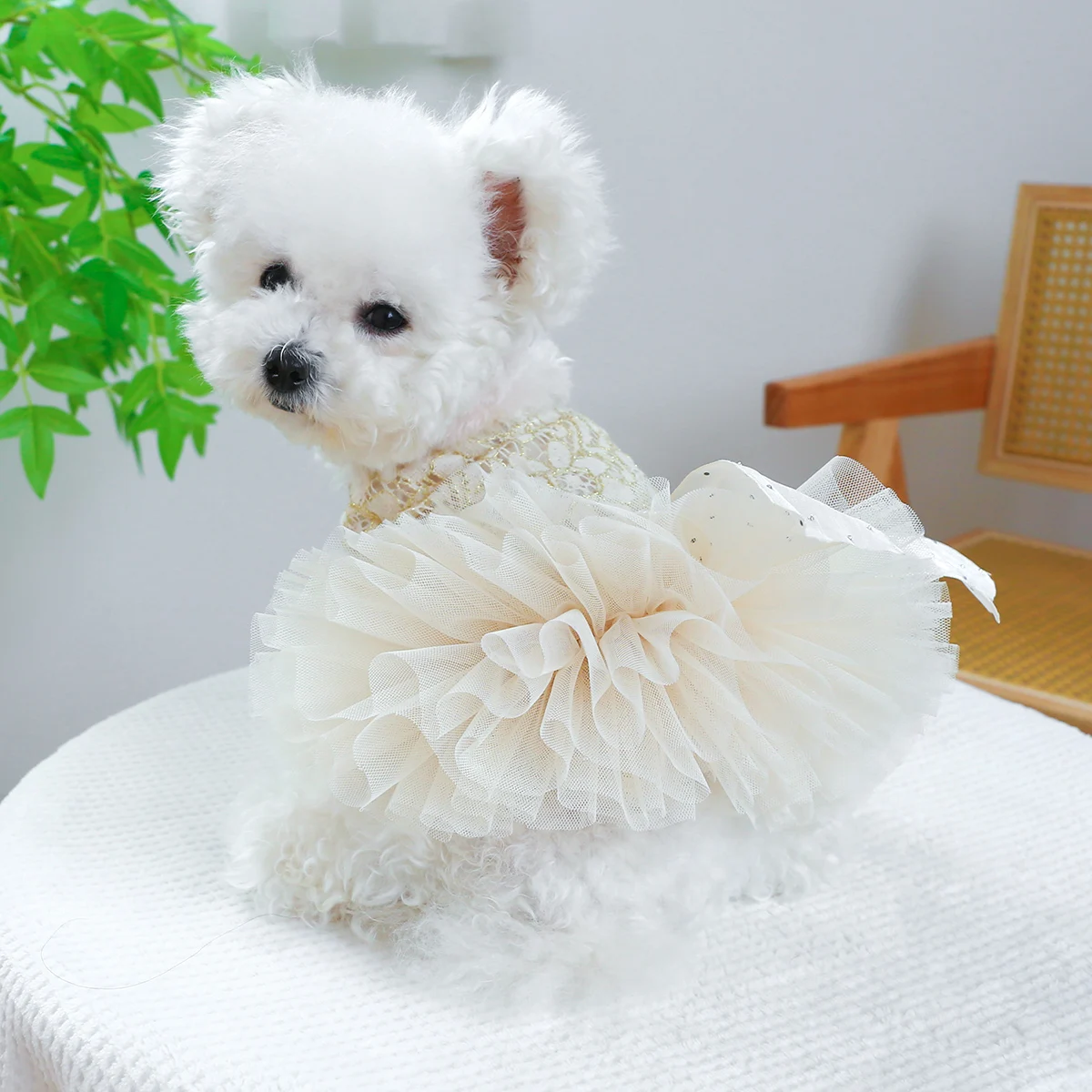 1PC Pet Apparel Dog Spring/Summer White Wedding Dress Princess Luxury Palace Pengpeng Skirt Chinese Dress For Small Medium Dogs