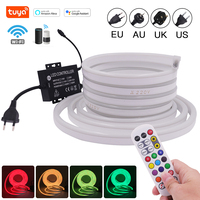 220V RGB 5m 10m LED Neon Strip Light Tuya WIFI APP 24Keys Remote Control 60LED/M Waterproof Bar Party Home Decor EU US UK AU Kit