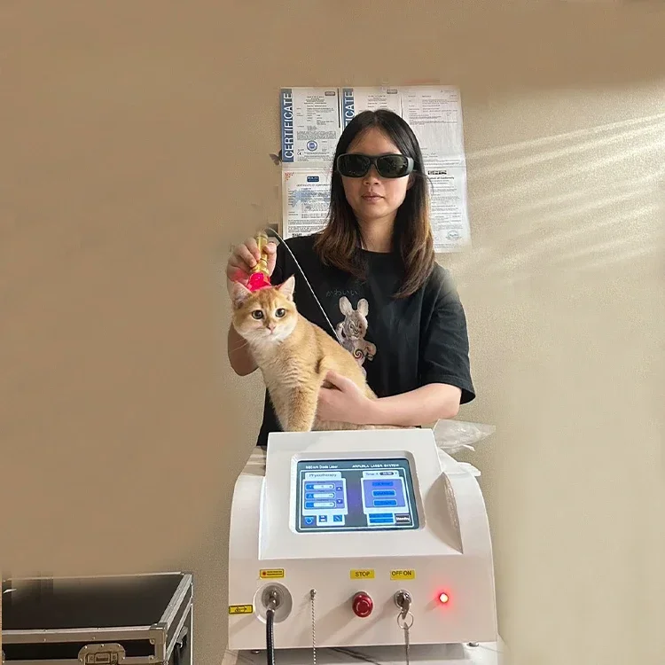 High Quality Veteri…