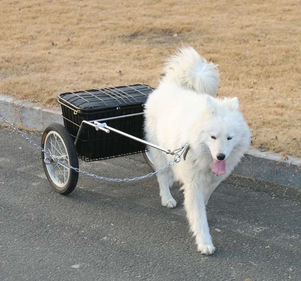 Large dog trailer grocery shopping cart Internet celebrity puppy two-wheeled dog walking pet trailer large car