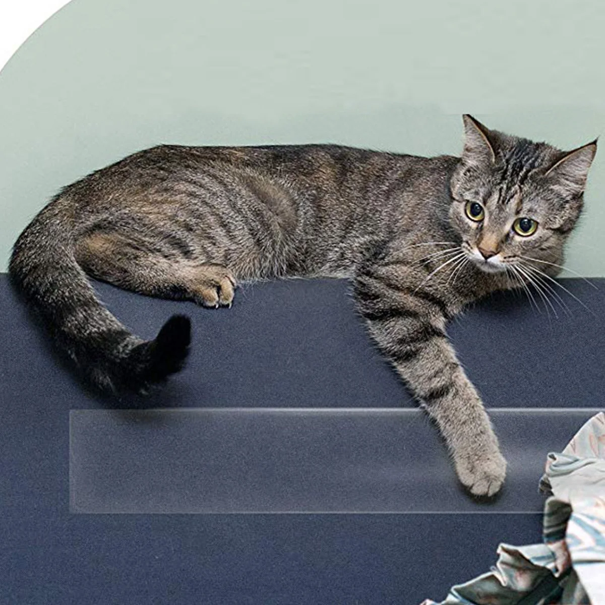 300cm Pet sofa protective tape Cat anti-scratch protective film Training pet supplies safe and transparent furniture