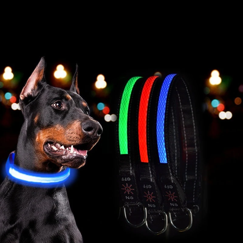 Thumbnail 3 - #28 Best LED Puppy Collars to Buy In 2026