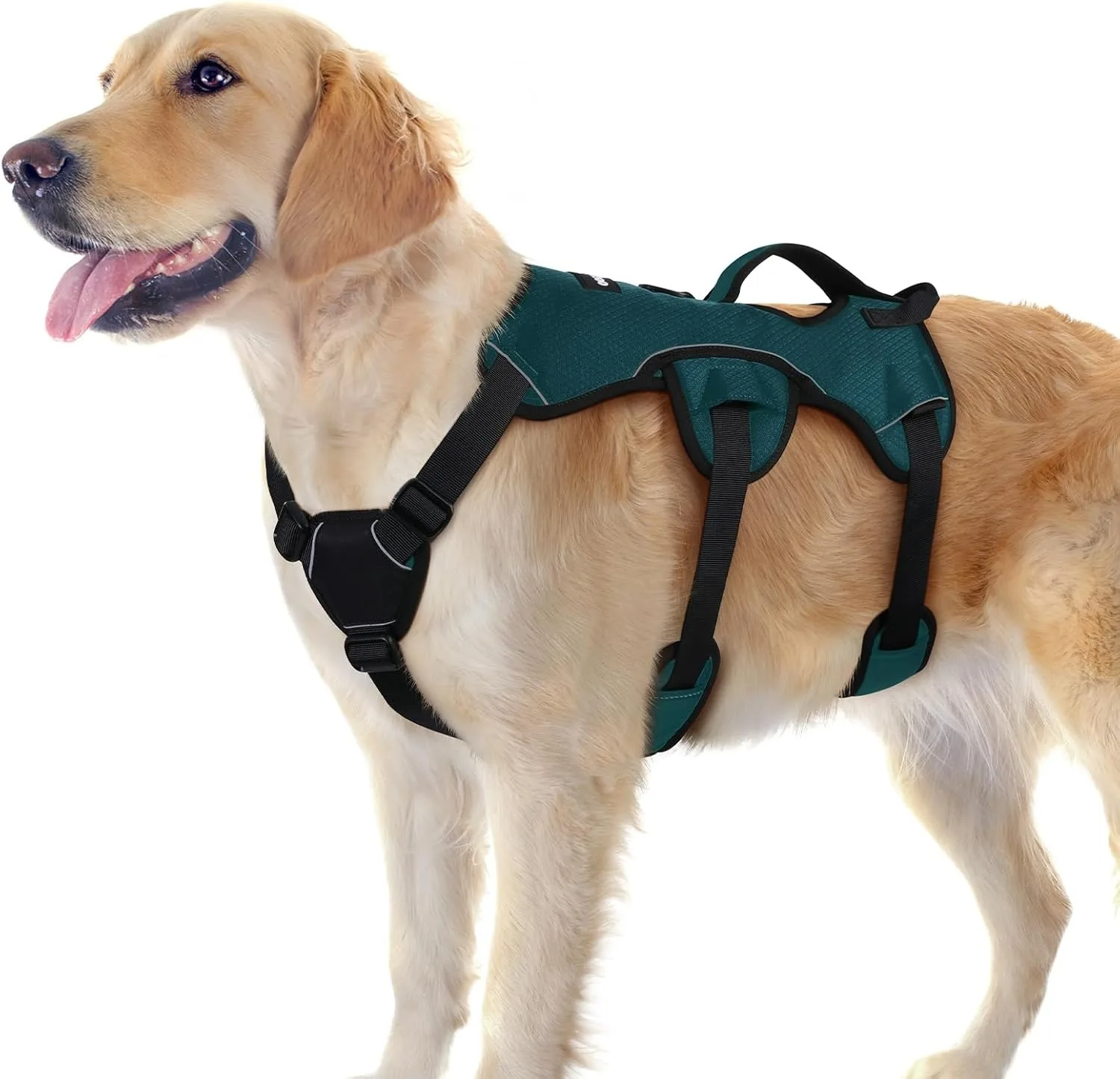 

Comfortable Escape Proof Harness – Reflective, No Pull with Lift Handle for Dogs & Cats dog jacket