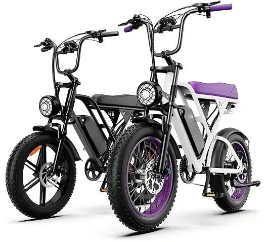 G60 20 Inch USA Warehouse Fast Electric Mountain Bike For Adults Cheap E-Bike With Removable 25ah Battery Max Load 150kg