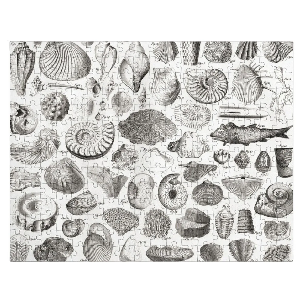 

1857 Diagram Paleontology: Fossils Jigsaw Puzzle Photo Personalized Gifts Personalized Name Puzzle