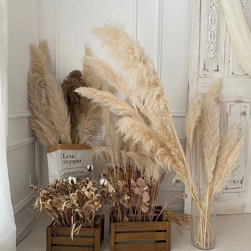 

Large Pampas Grass 80cm Fluffy Natural Dryness Wedding Bouquet Tall Dried Flower Ceremony Modern Home Garden ​Decoration Reed