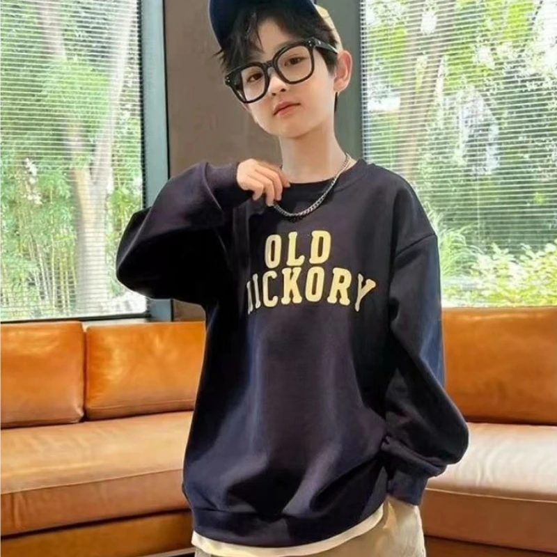 Boys Hoodie Spring Autumn Long Sleeve Top Korean Style Streetwear Casual T Shirt Children Fashion Sweatshirt Kids Pullover