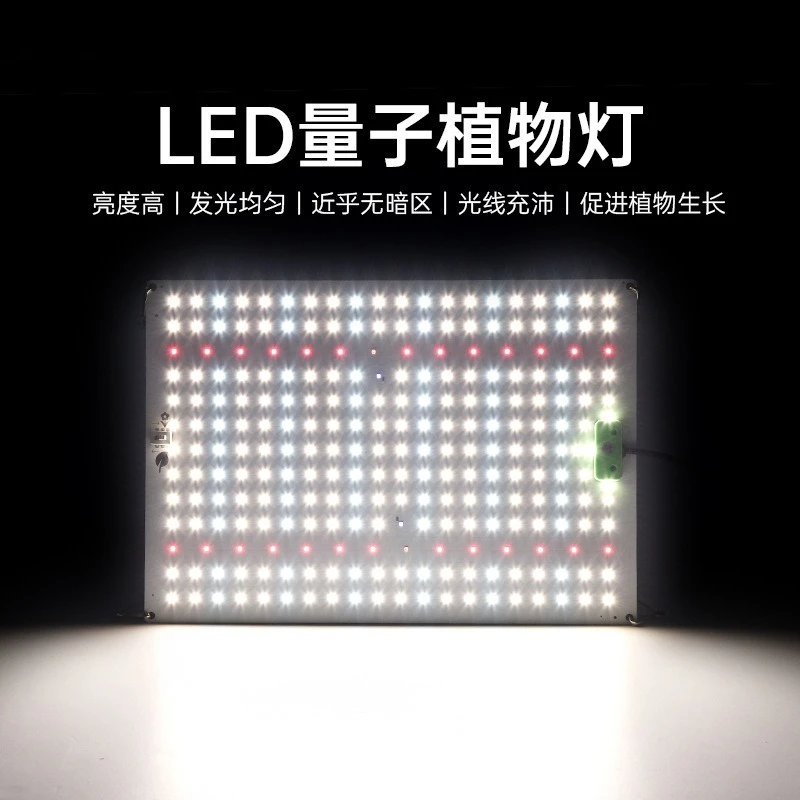LED Grow Light Full Spectrum Phyto Lamp 85W Indoor Grow Tent Plants Growth Light Vegetable Seedlings Cultivation Lamp