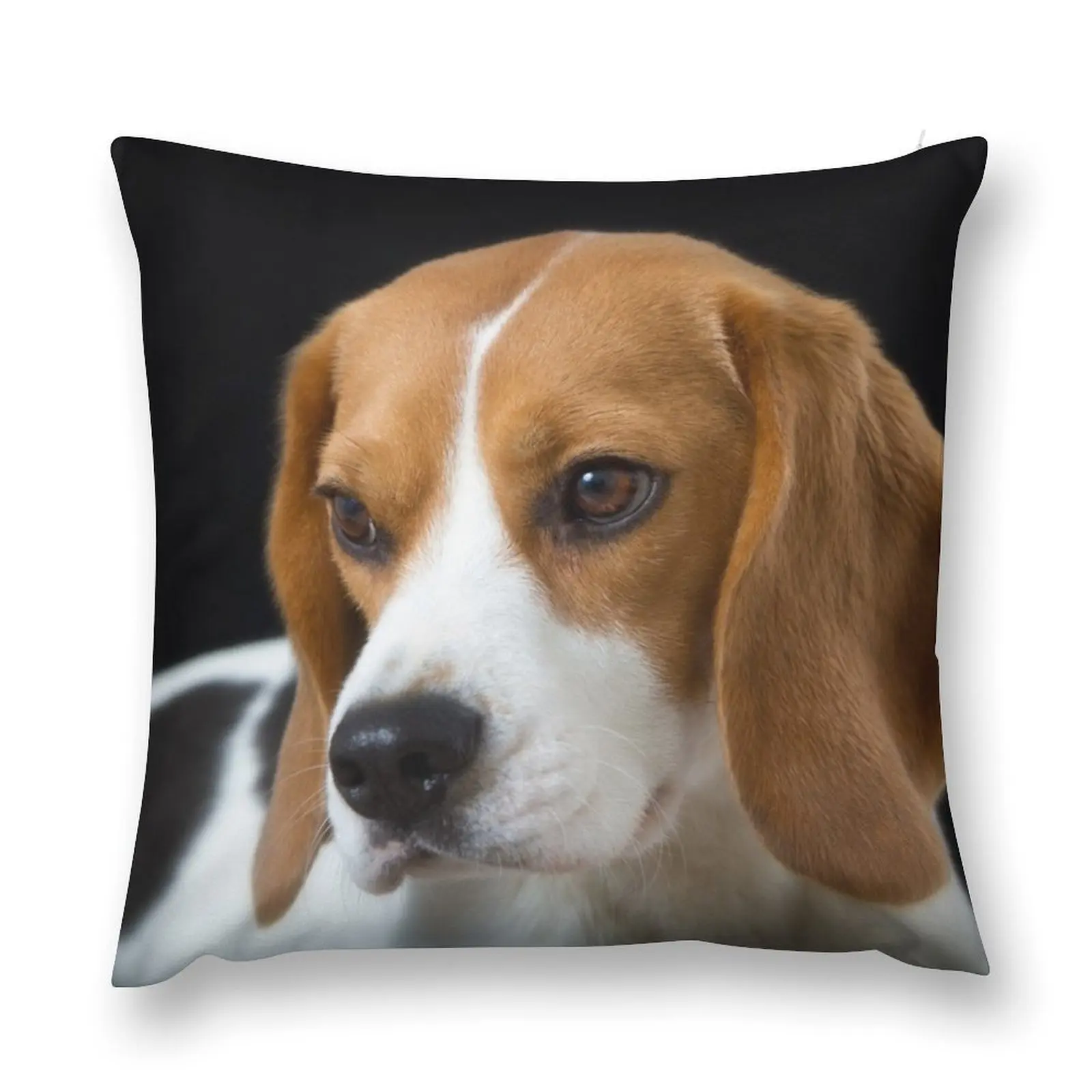 

Beagle on the Black Throw Pillow Pillows Aesthetic Christmas Pillows Decorative Cushions For Living Room pillow