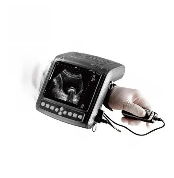 

SY-A018 Handheld veterinary ultrasound portable ultrasound machine for cattle ultrasound with rectal probe for vet