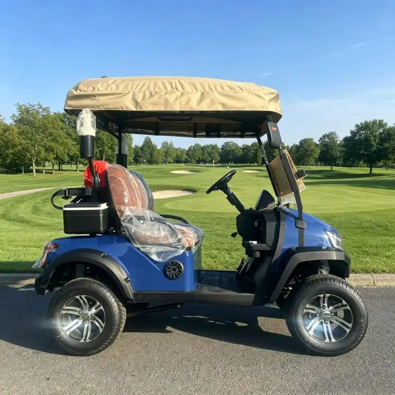 

Luxury 2 Seat Electric Golf Cart 72V Lithium Power 2 Passenger Resort Vehicle Elegant Sightseeing Street Legal Car