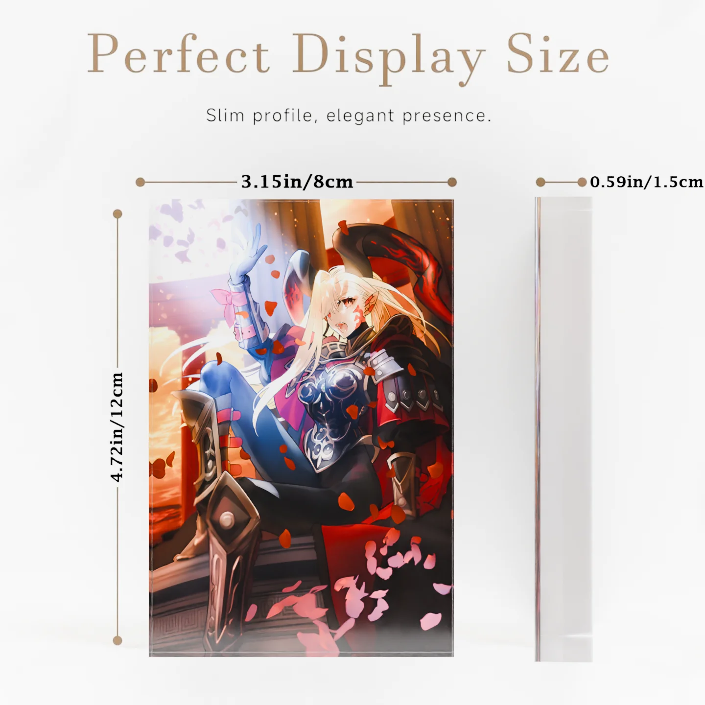 Fate Grand Order FGO Draco Sodoms Beast Nero Clear Acrylic Block Anime Goods Desktop Ornament Anime Desk Decor Collection Gift