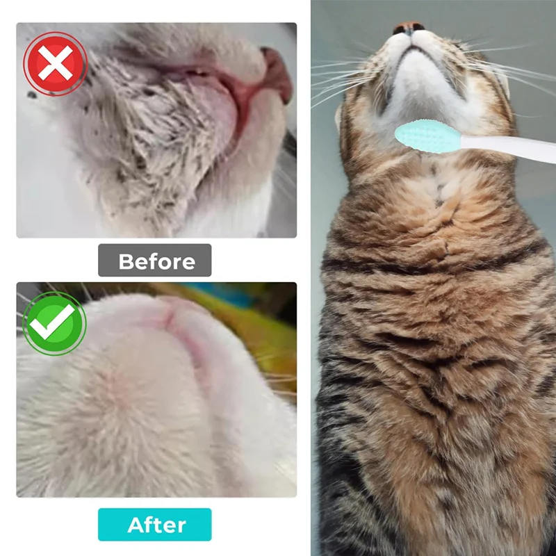 5PCS Silicone Cat Brush Set Zinc Alloy Handle Gentle Exfoliating Black Seed Design for Chin Acne Care Easy Clean Grooming Kit