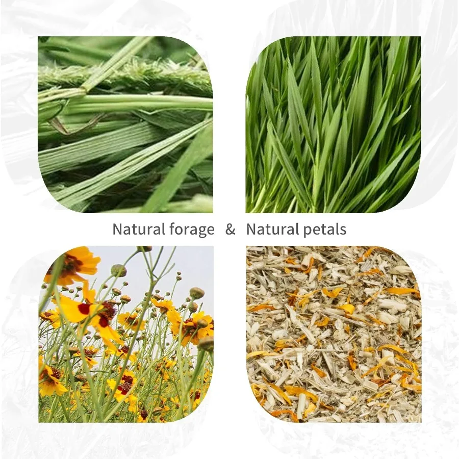 نفق الهامستر الإبداعي القابل للتصرف DIY نظام لدغ الأنبوب التفاعلي للحيوانات الصغيرة بما في ذلك الهامستر والفئران والجربوع والفئران