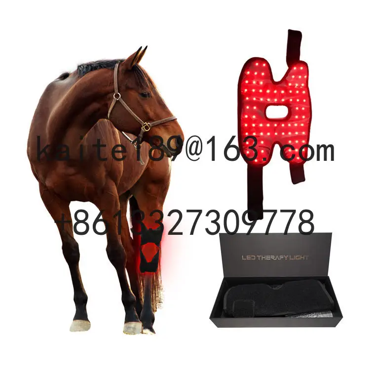 RedThera Equine Hock Knee Wrap Red Light Therapy Horse Knee Therapy Products