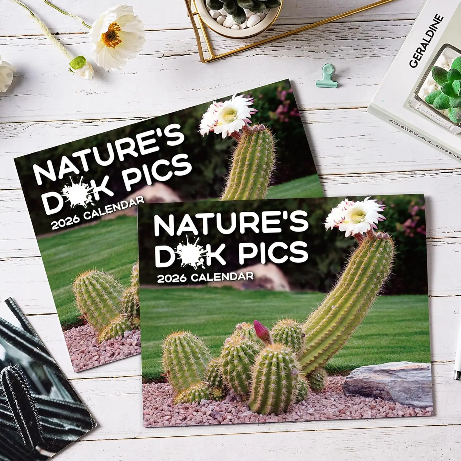 2026 Wall Calendar Funny Cactus Calendar Humorous Planner for Visual Display Scheduling Time Management Reference image 2