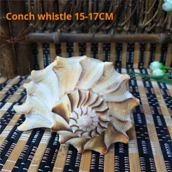 Conch Shell for Fish Tank Landscaping, Conch Whistle, Window Decorations, 15-22cm