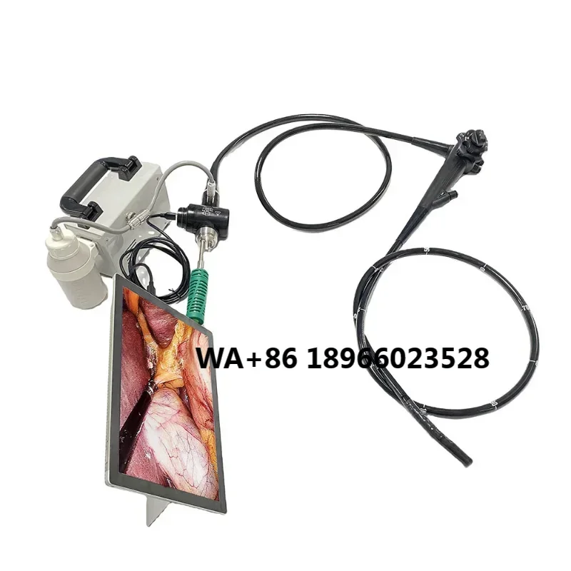 Video Colonoscopy set LTEG22 Medical Portable Flexible USB