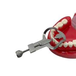 Dental Tooth Separator Anterior/Posterior Tooth Divider Wedges Retainer Orthodontic Matrix Rubber Dam Dentist Tool
