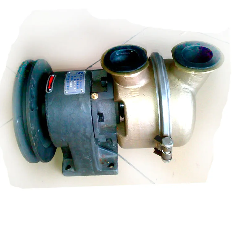 

3655857 Sea Water Pump for cummins Engine Nt855 Original Packing