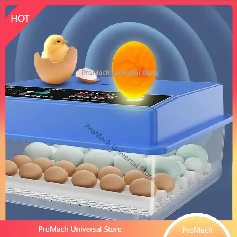 Desktop - Chicken Pigeon Intelligent Small  Mini - Automatic Duck And Goose