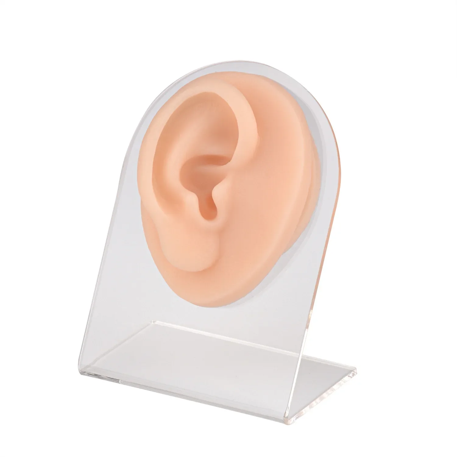 Practice Piercing Ear Silicone Model with Display Stand