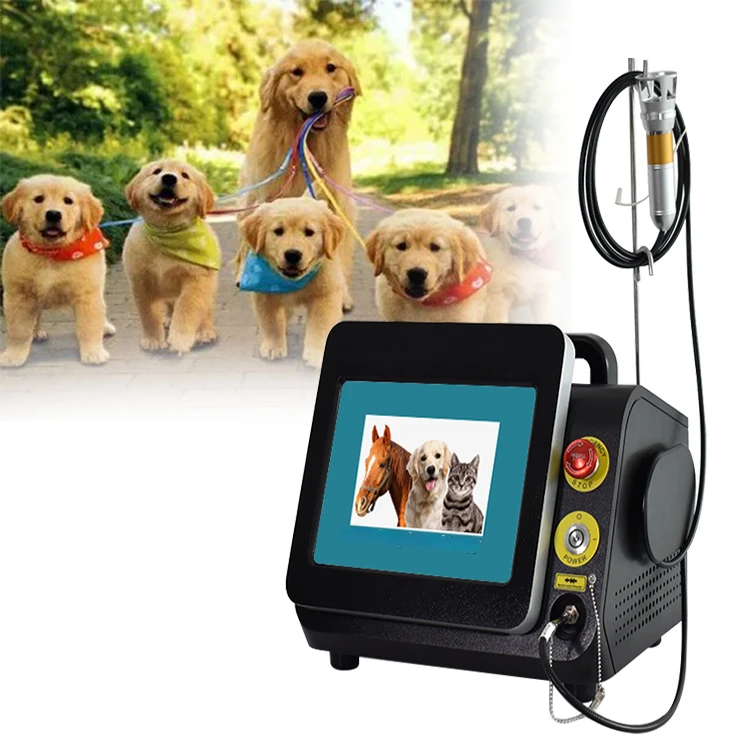 Veterinary physiotherapy equipment for dog/cat/horse/pet animal wound healing 980nm