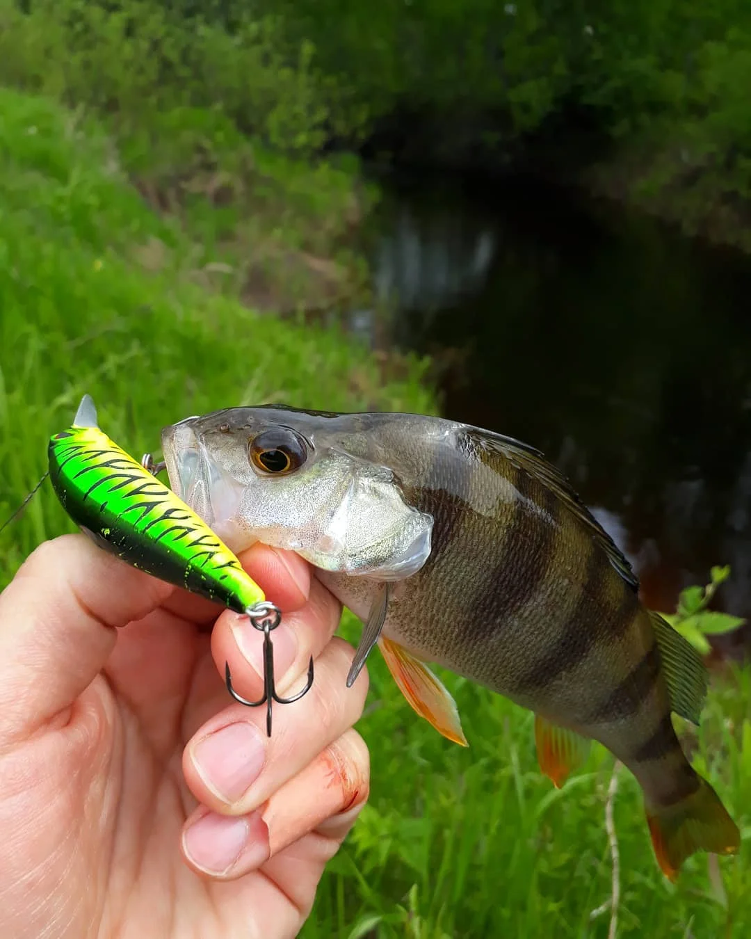 Jerkbaits 77 مللي متر 8.4 جرام أسماك إغراء تعليق المياه العذبة Wobblers الاصطناعي الطعوم الصلبة ل بايك الكارب باس الثنائي واقعية Rozante السحر