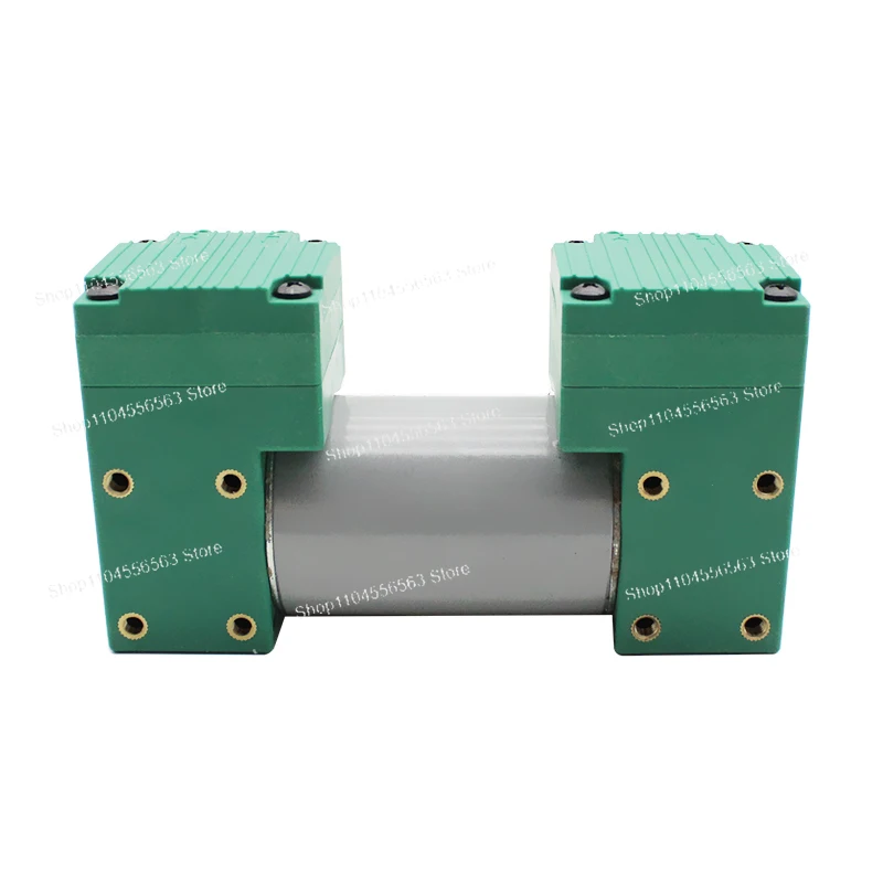 Dual Head Diaphragm Air Pump 12V 220V for Beauty Device, 8L/min High Flow Positive Negative Pressure Silent Mini Pump