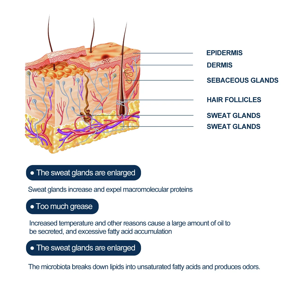 كريم إزالة الروائح الكريهة الخاص: مستخلص نباتي، إزالة الروائح الكريهة، منعش للبشرة، يحافظ على النعومة وطول العمر - العناية بالنظافة الشخصية للرجال
