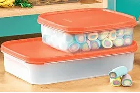 Tupperware Orange Modular Kit 2 PCS 8 Bộ Tupperware bán hàng chính - 5