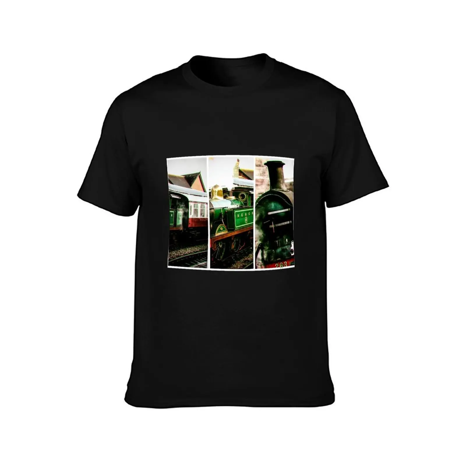 Steam on the Bluebell Line T-Shirt, Summer Casual Cotton Tee, Oversized Streetwear Tops, Vintage Graphic Print, Unisex Men Women