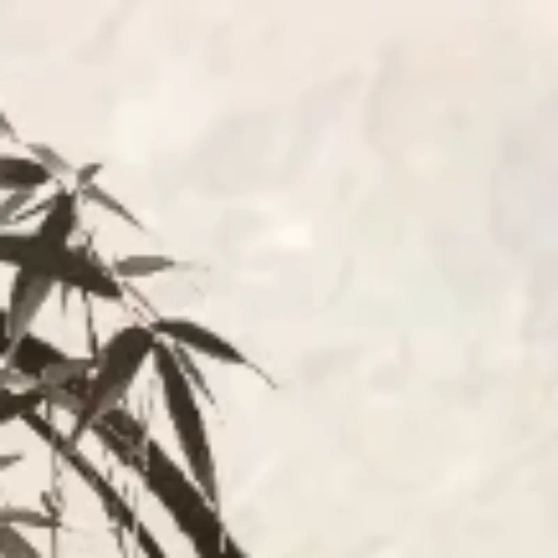 นกหวีดทองเหลืองอเนกประสงค์สำหรับเอาชีวิตรอดในกรณีฉุกเฉิน พกพาสะดวก ใช้เป็นพวงกุญแจ อุปกรณ์กลางแจ้ง นกหวีดฝึกซ้อม สำหรับตั้งแคมป์และเดินป่า