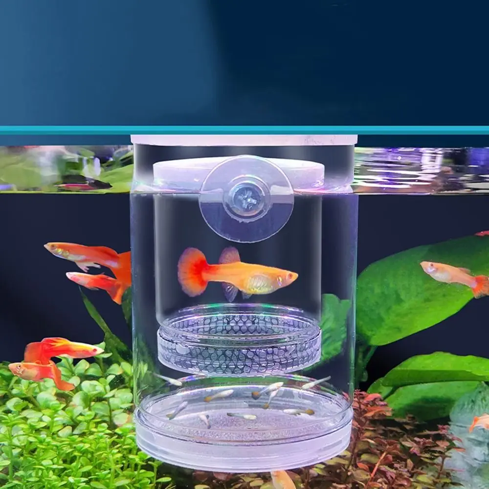 Plastic Suction Cup Floating Hatching Box Detachable Transparent Peacock Fish Breeding Box Ornamental Feeding