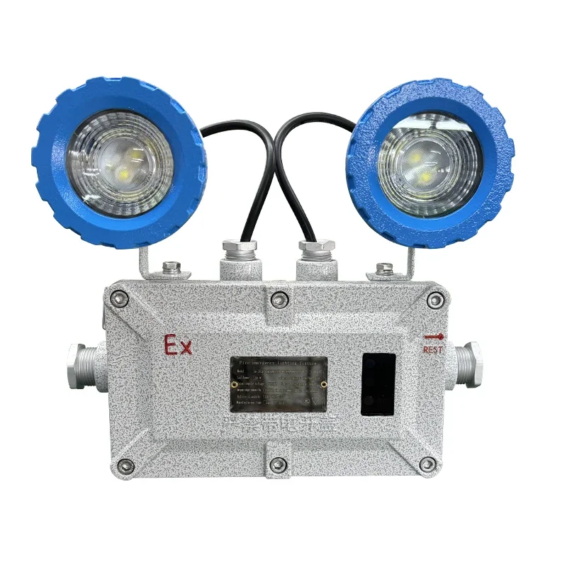 

Double Point Exit Mark Emergency Light Emitting Diode Charging Emergency Light