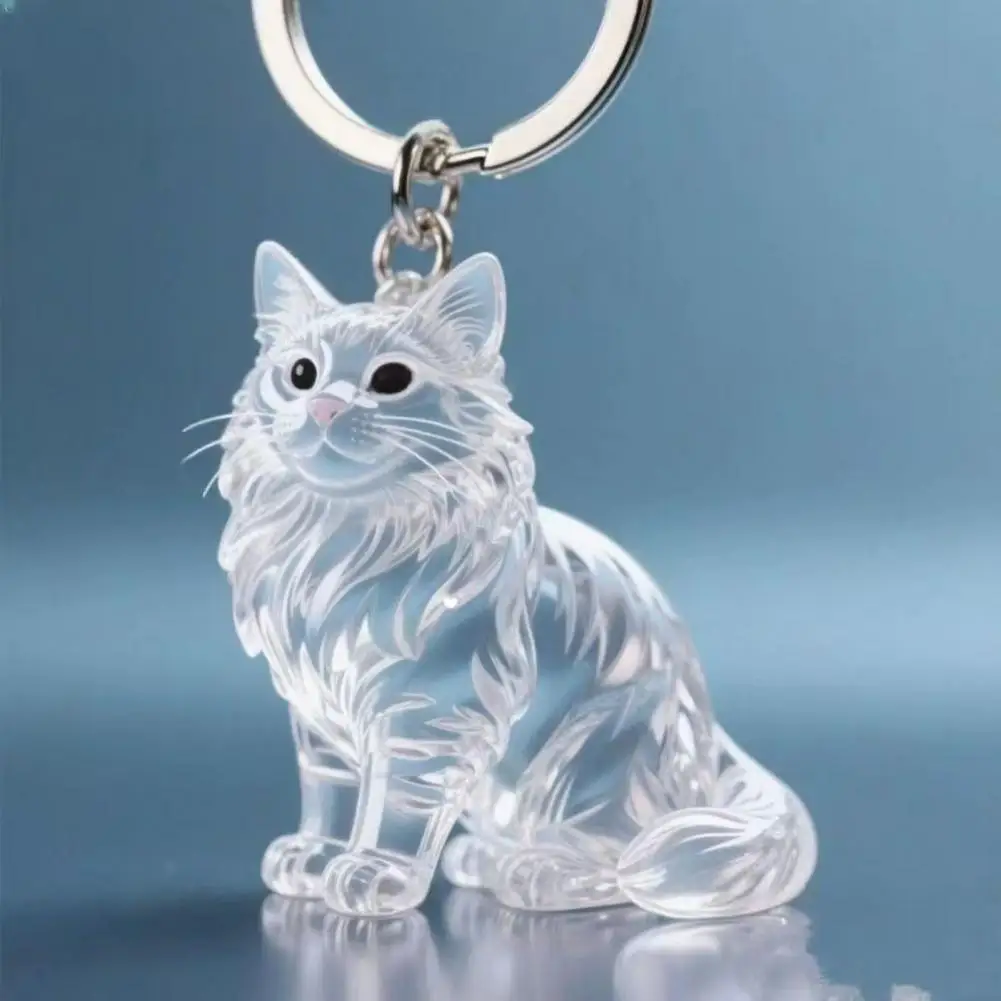 Cat Design Transparent Keychain Pendant Pet Hair Storage Bottle Key Ring Key Chain Portable Hair Storage Box Keyring Accessories
