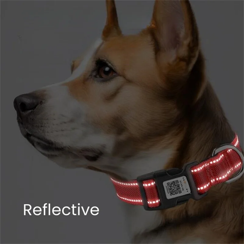 Personalized Glowing Collar Neck QR Scan Identification Addressee Reflective Dog Levrier Necklace ID for All Dogs Travel Hiking