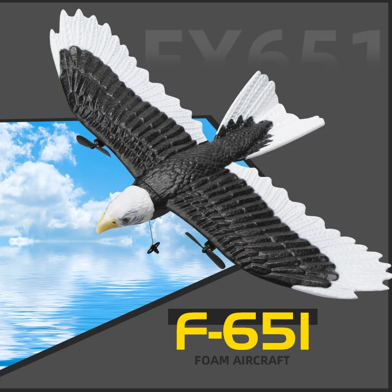 FX651 RC Plane Eagle Airplane Wingspan Glider 2.4G Radio Remote Control Aircraft EPP Foam Toys for Children Boys