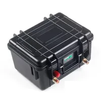 Rechargeable LiFePO4 12V 100Ah Lithium iron phosphate battery pack with BMS for Outdoor Camping Solar Power Household Electric