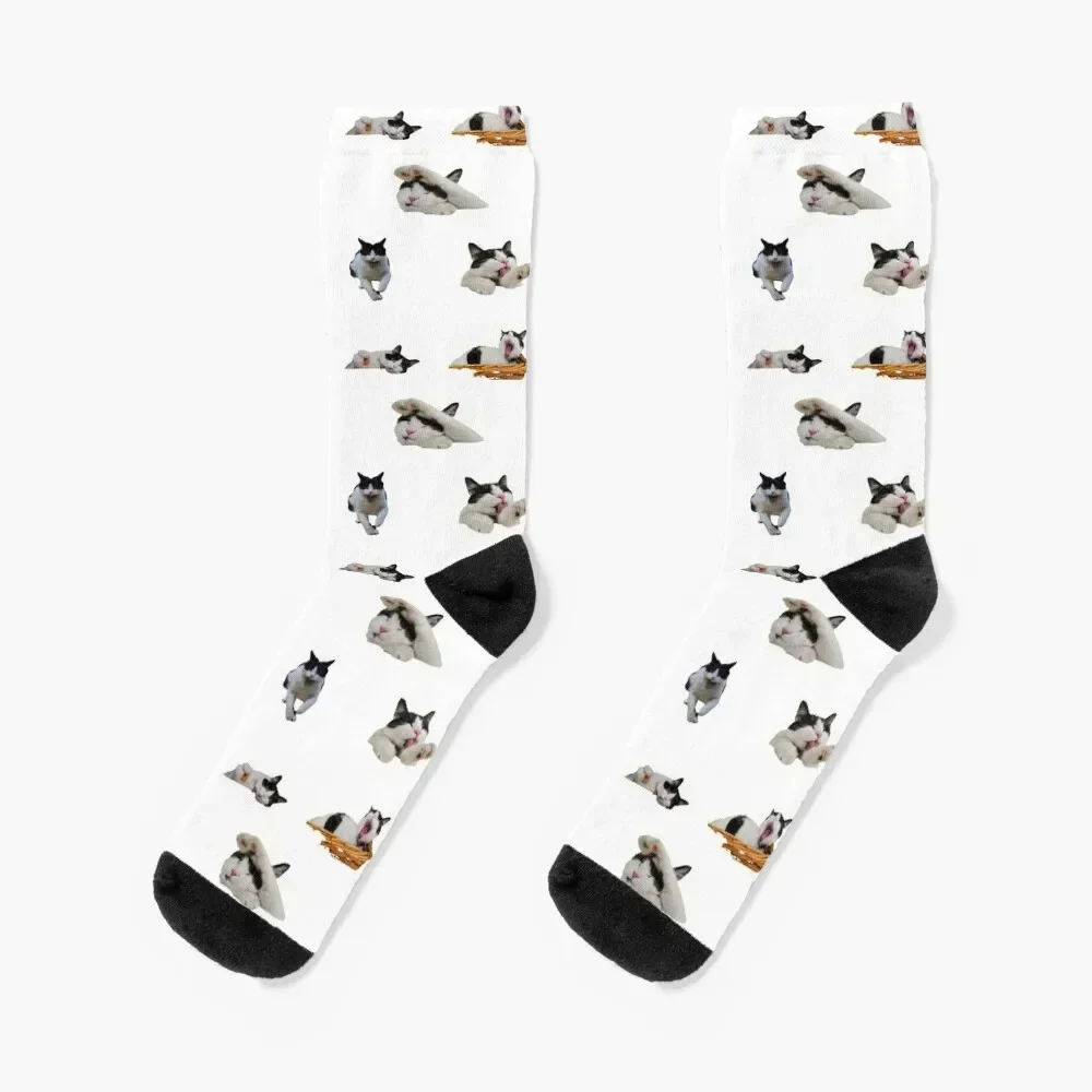 

Happy Dapping Cat Socks sport new year Men's Socks Luxury Women's