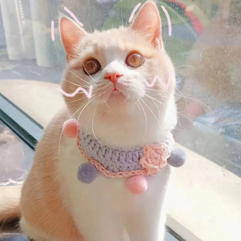 Weaving Lovely Kitten Neck Collar Braid Star Pink Small Medium Dogs Accessories All Season Unisex Birthday Soft Wool Pet Chain