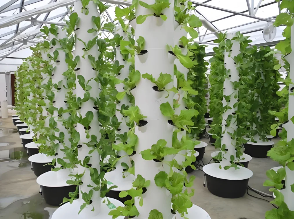 Small Pineapple Aeroponic Vertical Tower Growing System in Greenhouse