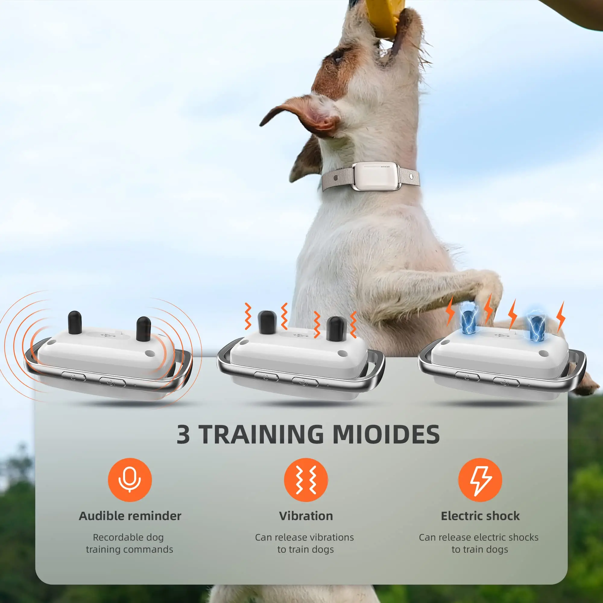 Recording Dog Shock Collar Waterproof Rechargeable E-Collar for Dogs with 16 Levels Beep Vibration Shock Electric Dog Training C